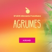 Agrumes - D'lice