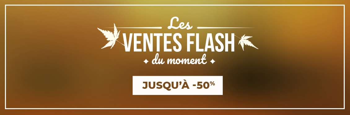 Ventes flash